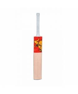 Beastt Ace English Willow Cricket Bat