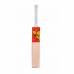 Beastt Ace English Willow Cricket Bat