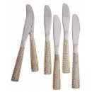 6.PCS DINNER KNIFE SET. ROYAL GARDEN