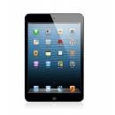 APPLE AIPAD MINI WITH WI-FI 16GB - BLACK & SLATE