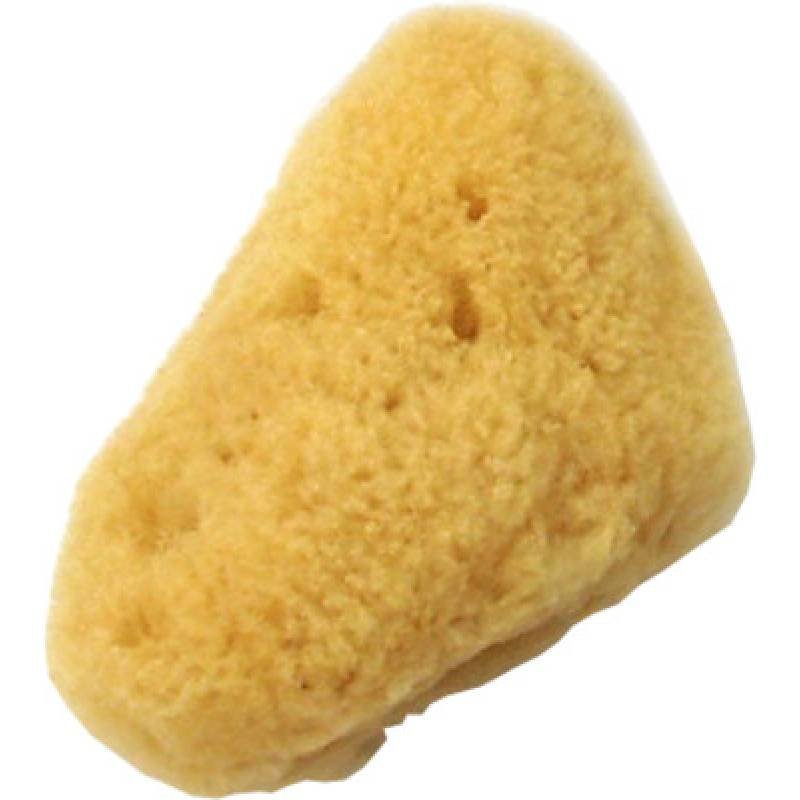 BASICARE COSMETIC SEA SPONGE 1049