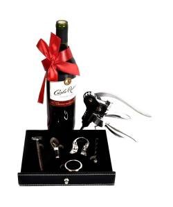 Connoisseur's Wine Tool Kit