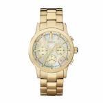 DKNY Ladies Watch (NY8062)