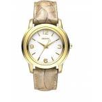 DKNY Ladies Watch (NY8333)