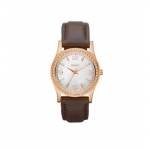 Dkny Ny8373 Leather Ladies Watch