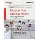 ESCAPE FROM CUBICLE NATION