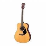 F310P FOLK GUITAR PACKAGE