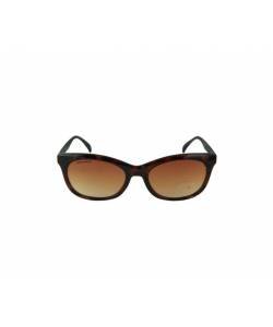 Fastrack C051BR2F Tortoise-03Y Women Sunglasses