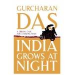 INDIA GROWS AT NIGHT