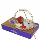 Raksha Bandhan - Celebrating Rakhi