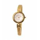 SKAGEN WOMEN WATCH 354SGGW