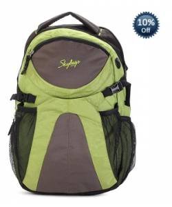 Skybags Chip Laptop Backpack 01 (Green/Grey)