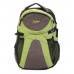 Skybags Chip Laptop Backpack 01 (Green/Grey)