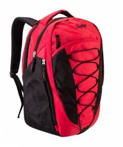 Skybags Note Laptop Backpack 01  (Red) 1850