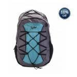 Skybags Note Laptop Backpack 02  (Blue/Grey)  1850