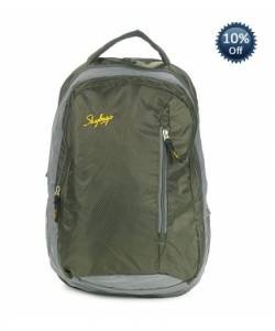 Skybags Rider Laptop Backpack 01  (Green)