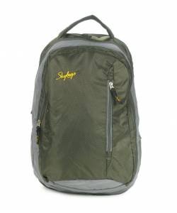 Skybags Rider Laptop Backpack 01  (Green)
