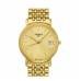 Tissot T52548121 Yellow Gold Stainless Steel Watch