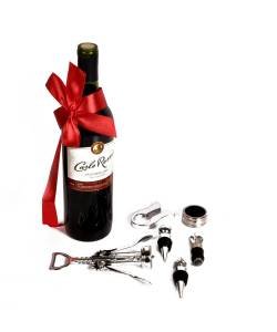 Wine Tool Kit