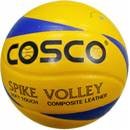Cosco Spike Volley Ball