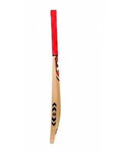 SG I Bat (Narrow Blade) Kashmir Willow Cricket Bat 