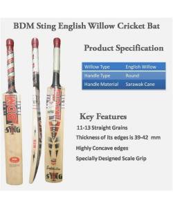 BDM Sting English Willow Cricket Bat